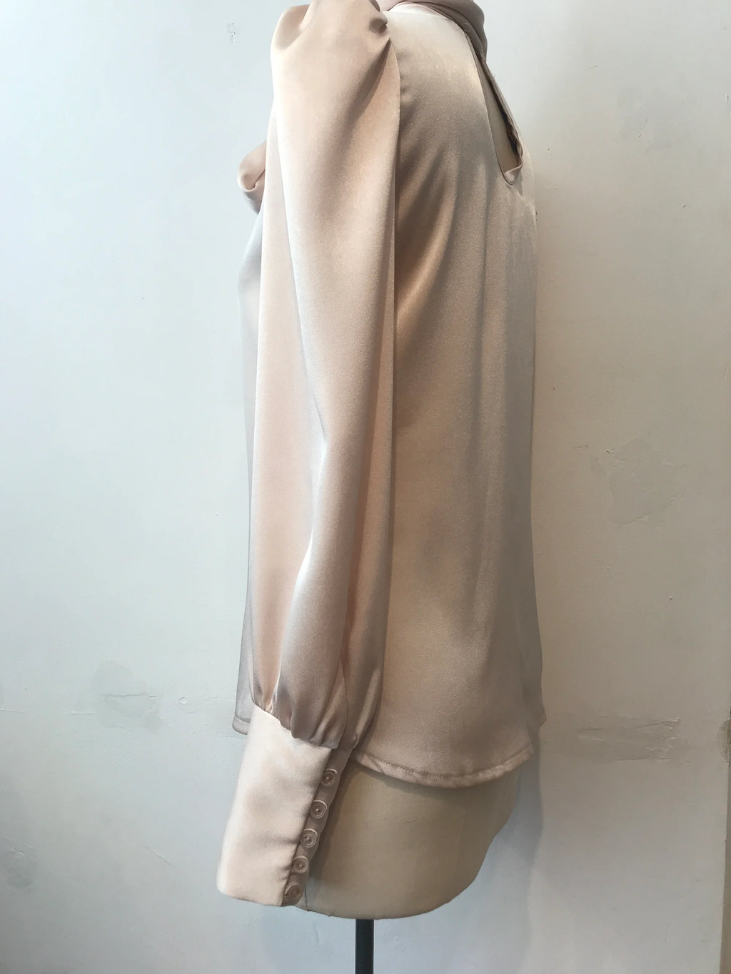 Anita Satin Tie Neck Blouse